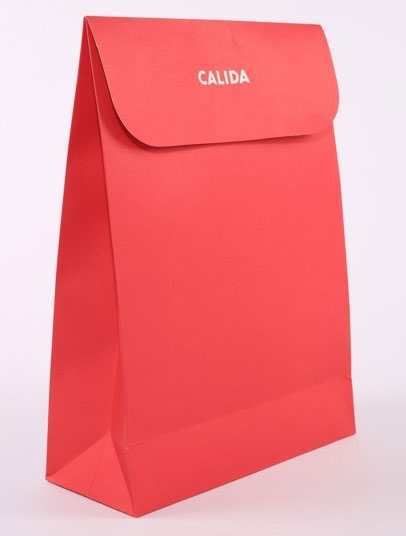 手(shǒu)提袋/紙袋