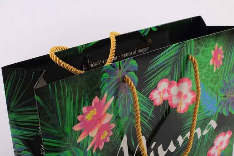 手(shou)提袋/紙(zhǐ)袋