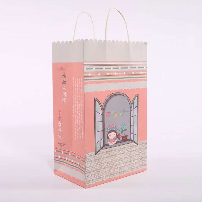 手(shǒu)提袋/紙(zhǐ)袋